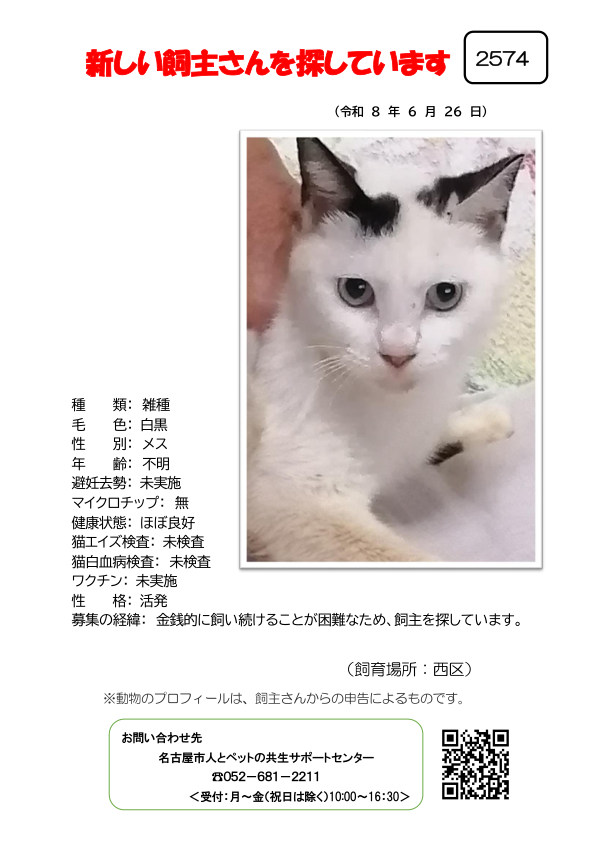 【4】2026年6月26日掲載