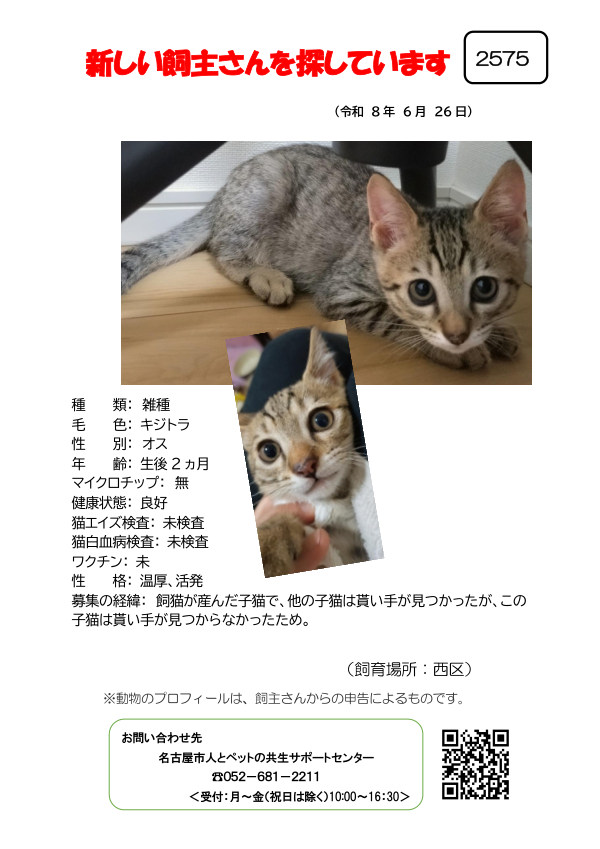 【5】2026年6月26日掲載