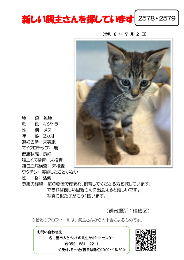 【3】2026年7月2日掲載
