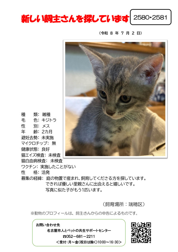 【4】2026年7月2日掲載