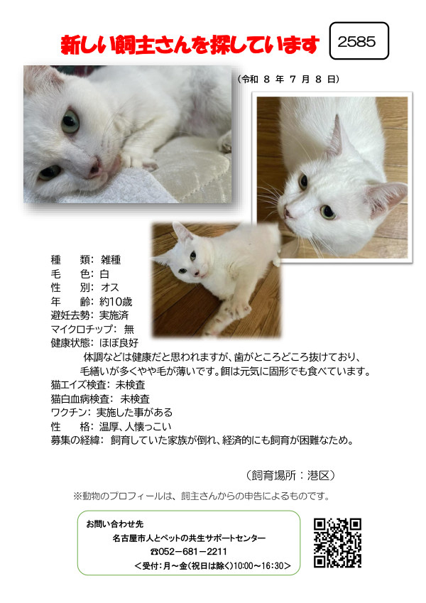 【1】2026年7月8日掲載