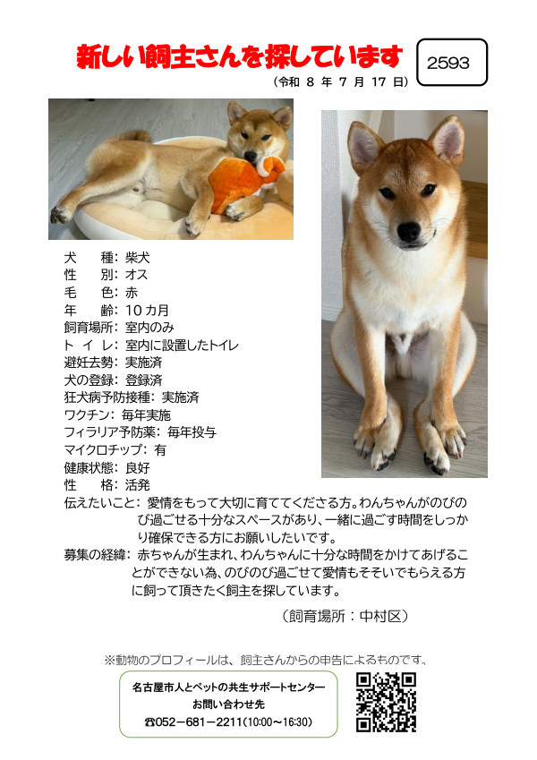 【2】2026年7月17日掲載