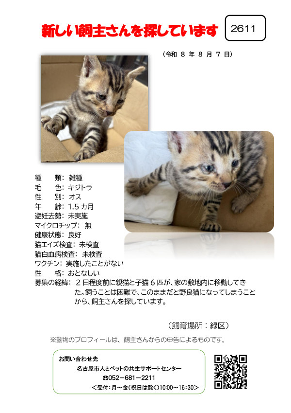 【5】2026年8月7日掲載