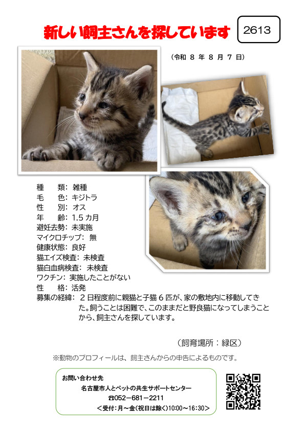 【7】2026年8月7日掲載