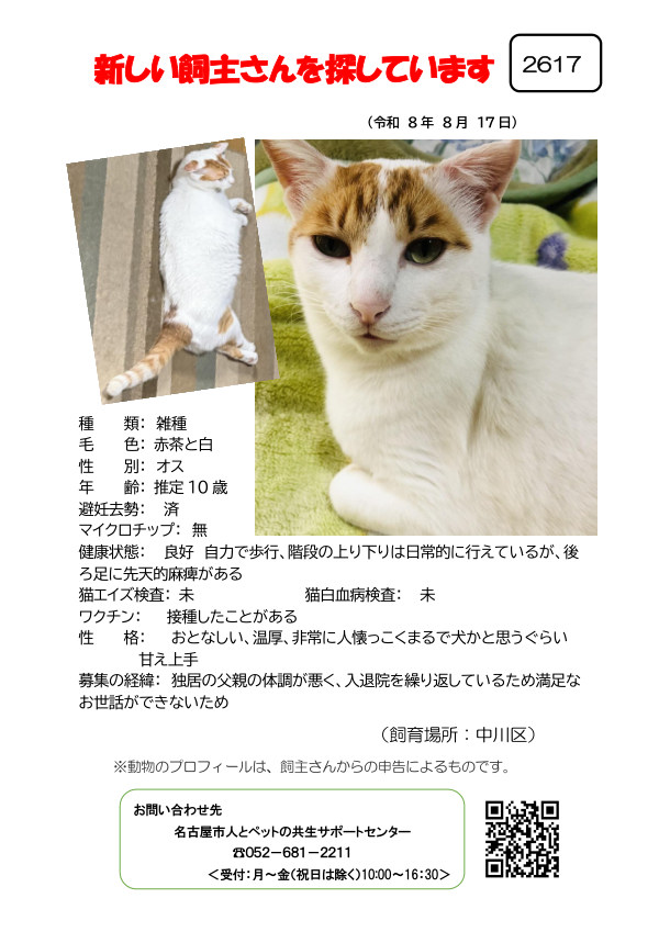【2】2026年8月17日掲載