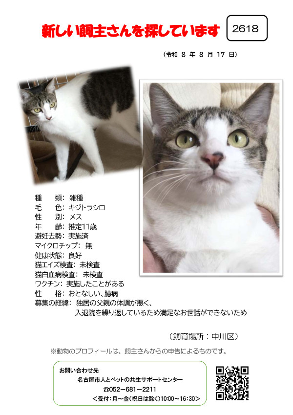 【3】2026年8月17日掲載
