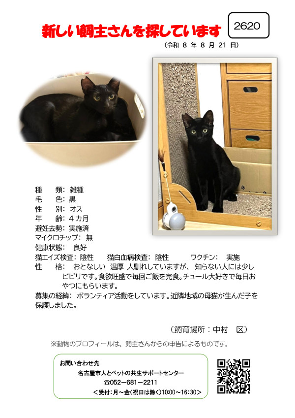 【2】2026年8月21日掲載