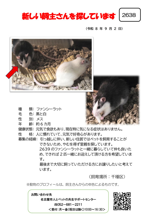 【5】2026年9月2日掲載