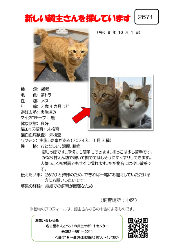 【2】2026年10月1日掲載