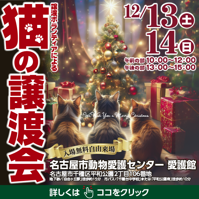 令和7年12月13日(土)・14日(日)保護猫の譲渡会を開催します