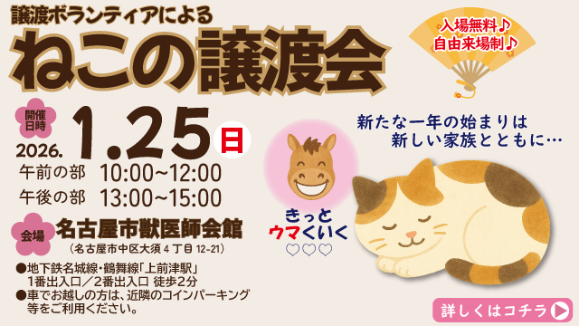 令和8年1月25日(日)保護猫の譲渡会を開催します