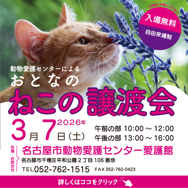 令和8年3月7日(土)保護猫の譲渡会を開催します