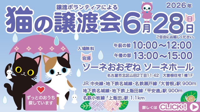 令和8年6月28日(日)猫の譲渡会を開催します