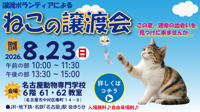 令和8年8月23日(日)猫の譲渡会を開催します