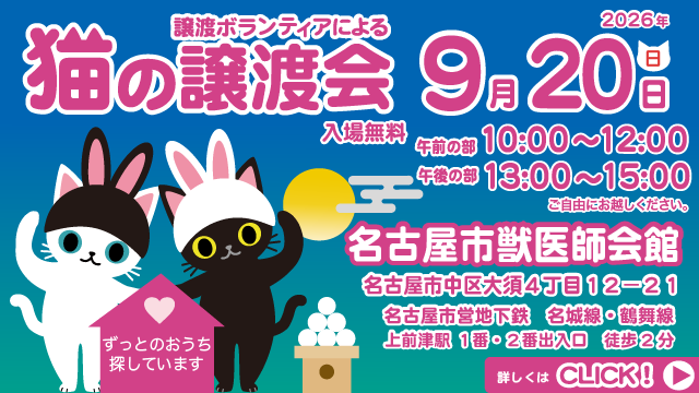 令和8年9月20日(日)保護猫の譲渡会を開催します