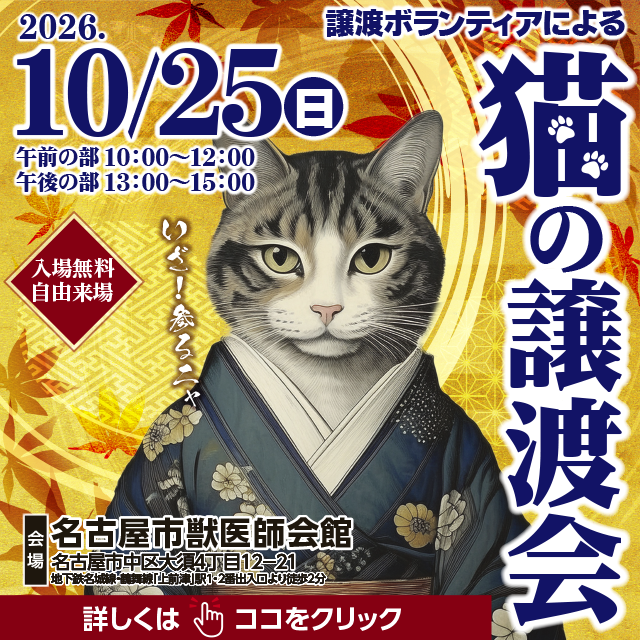令和8年10月25日(日)保護猫の譲渡会を開催します