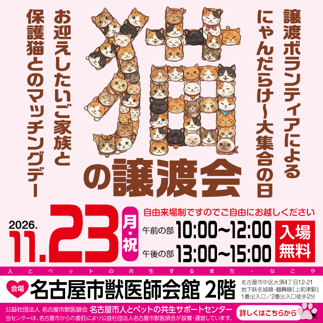 令和8年11月23日(月・祝)保護猫の譲渡会を開催します