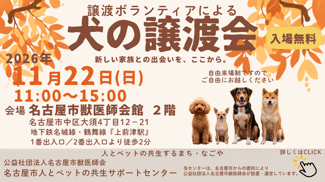 令和8年11月22日(日)保護犬の譲渡会を開催します