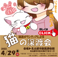 譲渡ボランティアによる「猫の譲渡会」開催！