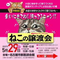 譲渡ボランティアによる「猫の譲渡会」開催！