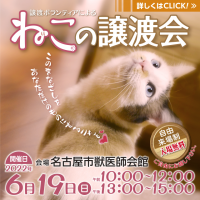 譲渡ボランティアによる「猫の譲渡会」開催！