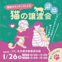 譲渡ボランティアによる「猫の譲渡会」開催！