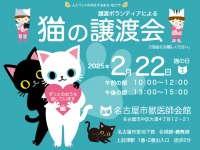 譲渡ボランティアによる「猫の譲渡会」開催！
