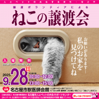 譲渡ボランティアによる「猫の譲渡会」開催！