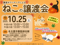 譲渡ボランティアによる「猫の譲渡会」開催！