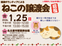 譲渡ボランティアによる「猫の譲渡会」開催！