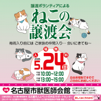譲渡ボランティアによる猫の譲渡会開催！